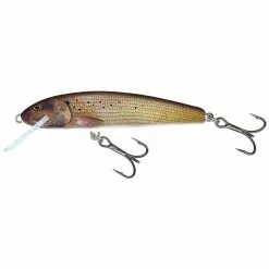 Salmo Minnow Floating 6 CM 7 Salmo Minnow Floating 6 CM -Kleinmateriaal Winkel 62076d44dc0741e5bc8ded10fb7b35de