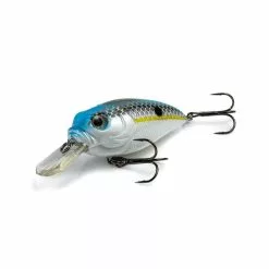 Molix Sculpo MR Rattlin