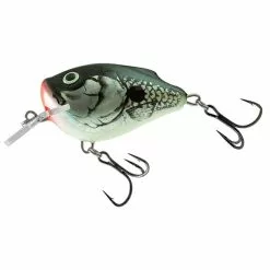 Salmo Squarebill Floating 6 CM -Kleinmateriaal Winkel 6b19a78d44a441a58b39616873900b12