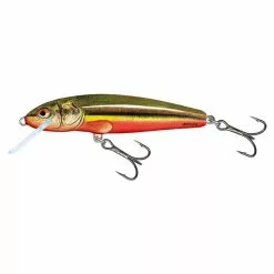 Salmo Minnow Floating 5 CM -Kleinmateriaal Winkel 72fa48bef7fe4bfa8198beb531f551ca
