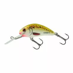 Salmo Hornet Floating 3,5 CM -Kleinmateriaal Winkel 7db16e102f07497f845652957050e742
