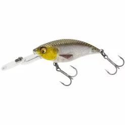 Westin BuzzBite Crankbait 5 CM Limited 7 Westin BuzzBite Crankbait 5 CM Limited -Kleinmateriaal Winkel 99f6a28f34704e8e8b1c3343cc27b172