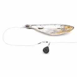 Spro Dead Bait Ready To Go Bottom Rig -Kleinmateriaal Winkel a42e6a281e4c4a01ab06b84486b245f5