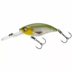 Westin BuzzBite Crankbait 5 CM Limited 6 Westin BuzzBite Crankbait 5 CM Limited -Kleinmateriaal Winkel a6ae0cd728064cf49fa192bdbb488e79