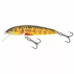 Salmo Minnow Sinking 6 CM -Kleinmateriaal Winkel b17a3c73a1784247a8c2991986975bfa