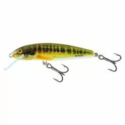 Salmo Minnow Sinking 5 CM -Kleinmateriaal Winkel b630905214154f12a48b650c4774c78f