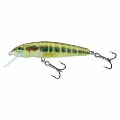 Salmo Minnow Floating 5 CM -Kleinmateriaal Winkel bf19016e8ec1433bb9cb5f80dc03e85e