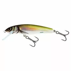 Salmo Minnow Sinking 7 CM 7 Salmo Minnow Sinking 7 CM -Kleinmateriaal Winkel cedd3173e3254578ab3f17a5295d5fd9