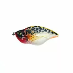 Rozemeijer Maori -Kleinmateriaal Winkel d2cbb7487e8d419ba96bff89a9189181